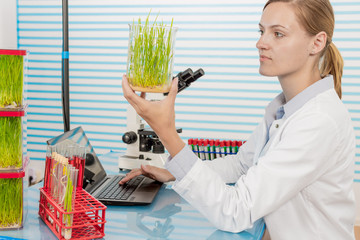 Poster - scientist with green plant in modern laboratory. woman study of genetic modified GMO plants in the laboratory