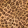 Leopard animal skin pattern. Leopard seamless background.