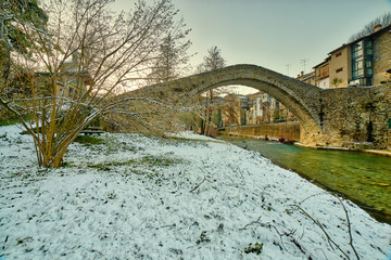 Canvas Print - bridge with donkey back