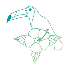 Sticker - toucan exotic bird with flower