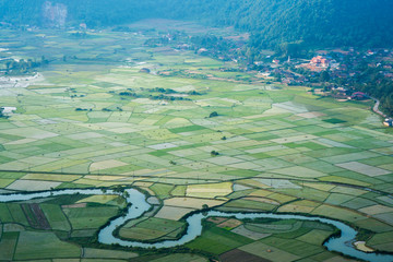 rice field in bac son valley in vietnam