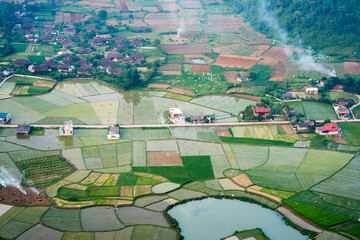 rice field in bac son valley in vietnam