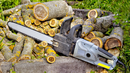 Closeup of chain saw lies on the background of sawn walnut logs 