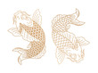 Koi fish. Japanese carp fish. Vector illustration