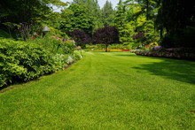 Beautiful Trees And Green Grass  In  Garden.