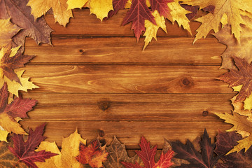 Wall Mural - Autumn maple leaves over wooden background. Top view.