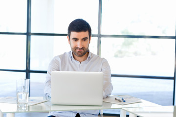 Poster - Handsome businessman working at computer