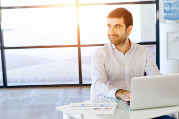 Poster - Handsome businessman working at computer