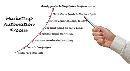 Wall Mural - marketing automation process