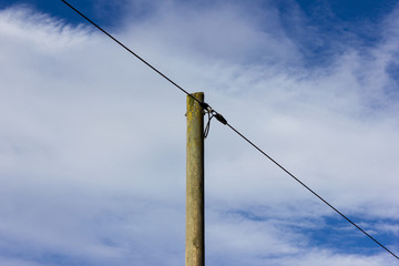 powerpole on december blue sky