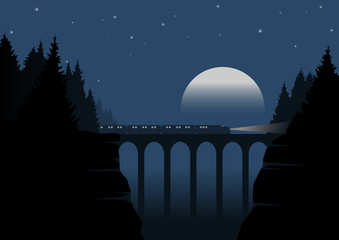 Wall Mural - train passing ravine on bridge at night, vector illustration landscape