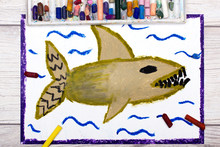 Photo Of Colorful Hand Drawing: Scary Sea Monster, Shark
