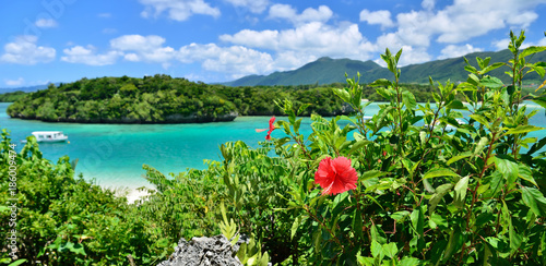 Fotolia アドビストックのデザイン かべいろ Com おしゃれ壁紙リフォーム貼り替え インクジェット壁紙のかべいろ Com