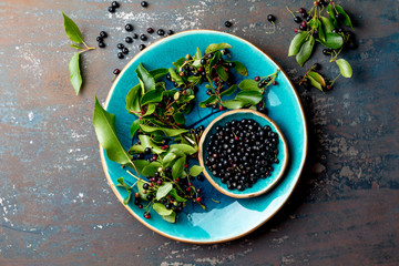 Superfood MAQUI BERRY. Superfoods antioxidant of indian mapuche, Chile. Bowl of fresh maqui berry and maqui berry tree branch on metal background, top view.