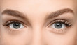 Leinwandbild Motiv Beautiful female eyes with long eyelashes, closeup