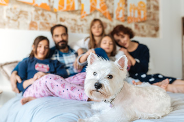 Wall Mural - Mature couple relaxed at home in bed with their four little daughters and the Dog.