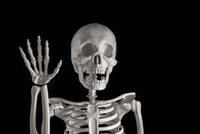 Human Skeleton On A Black Background. Skull. Waves With A Bony Hand