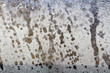 Water drops on window from rain and condensation macro