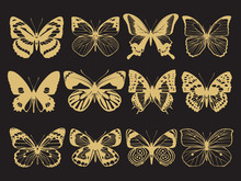 Golden Butterflies Collection