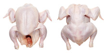 A Fresh Dead Plucked Chicken From A Grocery Store Is Prepared For Cooking Soup