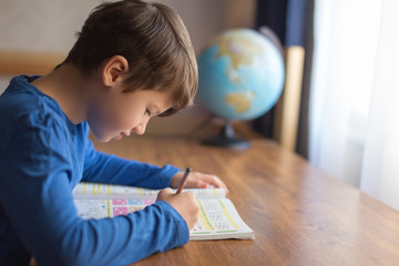 little smart schoolboy solving mathematics examples homework