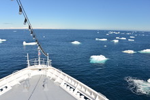 Antarctica Cruising