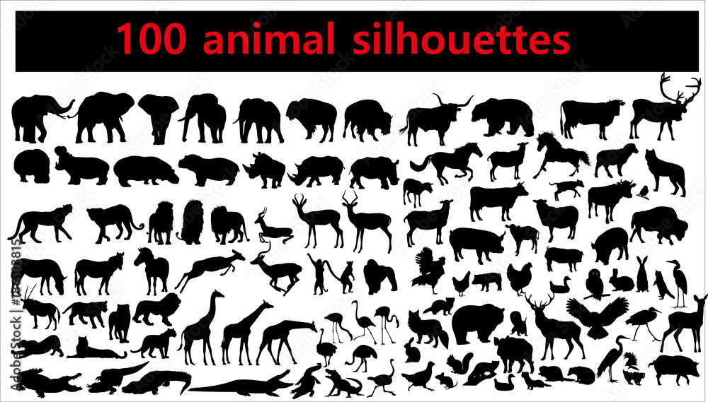 Collection of animal silhouettes on white background - obrazy, fototapety, plakaty 