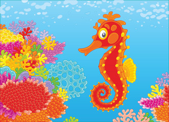 Wall Mural - A funny red seahorse swimming over an amazing and colorful coral reef in blue water of a tropical sea, a vector illustration in cartoon style