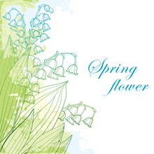 Vector Bouquet With Outline Lily Of The Valley Or Convallaria Flower And Leaf In Pastel Green And Blue On The White Background. Ornate May Bells Flowers In Contour Style For Greeting Spring Design.