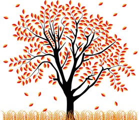 Wall Mural - vector image of a tree in autumn