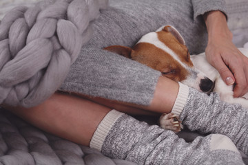 Wall Mural - Cozy ,lazy day at home, cold weather, warm blanket. Dog sleeping on female feet. Relax, carefree, comfort lifestyle.