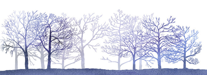 Wall Mural - watercolor landscape with winter trees