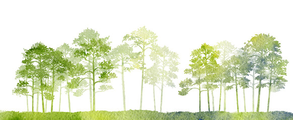 watercolor landscape with pine trees
