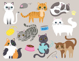 Fototapeta Koty - Cute kitty cat vector illustration set with different cat breeds, toys, and food.