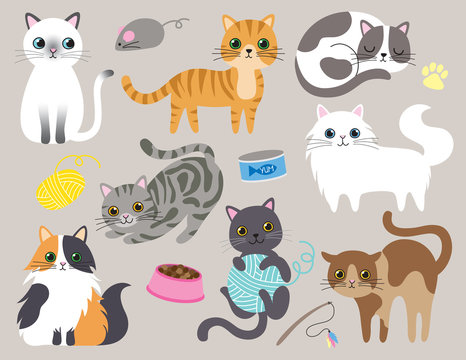 Fototapete - Cute kitty cat vector illustration set with different cat breeds, toys, and food.