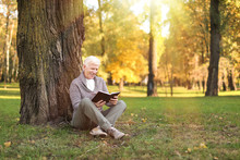 Stylish Mature Man Reading Book While Sitting Near Tree In Autumn Park