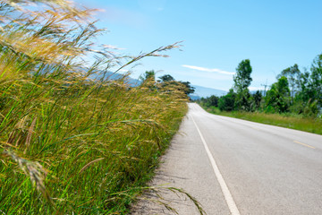 Wall Mural - Grass road travel and clouds and sky