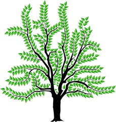 Wall Mural - vector image of a tree in summer