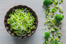 Broccoli Sprouts With Florets