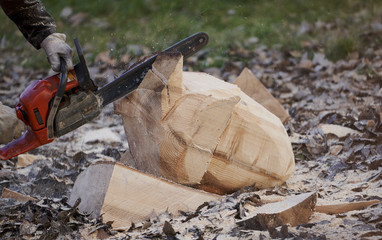 lumberjack cuts wood with a circular saw