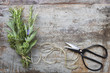 Bouquet Garni Herbs with String and Scissors on Grunge Timber Background