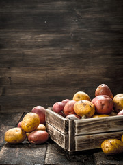 Fresh potatoes in a wooden box.