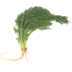 Dill with Roots Isolated on White Background