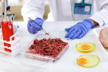 Food quality control expert inspecting meat