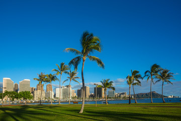 Wall Mural - Waikiki beach