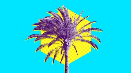 Wall Mural - 
Palm tree on abstract background Minimal beach vibes

