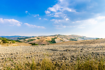 Wall Mural - collina toscana