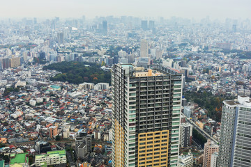 Wall Mural - Aerial view for Tokyo metropolis from Ikebukuro, Japan. 