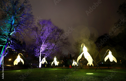 Illuminated Oversized Snowballs Are Seen At The Botanical Garden
