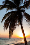 Fototapeta Morze - Evening on a beach in Playa Giron village, Cuba.